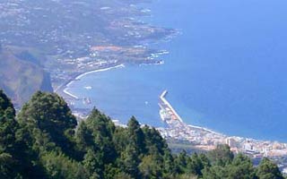 La palma m